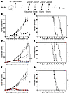 Enhancement of antitumor activity of cetuximab by anti-CD137 mAb is depende