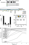 PIGA mutations and longitudinal analysis.