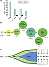 PIGA mutation as the initial ancestral event in PNH8.