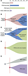 Mutational summary and clonal architecture scenarios.