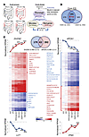 APOA1 and DUOX2 gene coexpression signatures define pathogenic