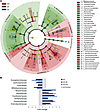 The ileal microbial community in patients with IBD and Ctls.