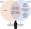 Influences on the gut microbiota/brain axis in the perinatal period.