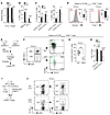 STIM1 and STIM2 regulate the function and differentiation of e