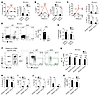 STIM1 and STIM2 regulate CD8 memory in a non-CD8+ T cell–intri