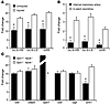 Vascular injury leads to increased expression of GSH-synthesiz