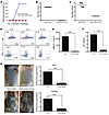 Antigen feeding before skin sensitization suppresses GI allerg