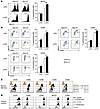 12/15-LO regulates the maturation process of DCs.