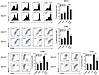 oxPC reverses the increased activation of 12/15-LO-deficient DCs.