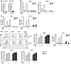 NRF2 mediates the immune-modulatory effects of 12/15-LO–derived oxidized ph