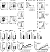 Deletion of 12/15-LO results in increased DC maturation and Th17 T cell dif