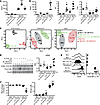 Salt does not induce an M1 phenotype in M(IL-4+IL-13)-activated macrophages