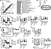 Salt modulates M(IL-4+IL-13) cellular metabolism.