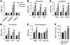 High-fructose feeding activates hepatic ChREBP and its metabolic gene targe