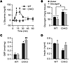 ChREBP is essential for glucagon-stimulated glucose production.