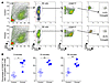 IL-15–primed CD56bright NK cells more effective