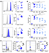 IL-15–primed CD56bright NK cells display increa