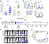 IL-15 priming enhances CD56bright NK cell antitumor