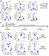 MM patient CD56bright NK cells are primed in vi