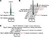 Escherichelin is produced during clinical E. coli UTI and experimental huma