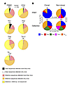 Clusters of identical intact HIV-1 proviruses in CD4+ T cell populations fr