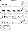 Hematopoietic cells are present in the brains of WT and BLT humanized mice.