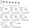 Sustained reconstitution of the BLT mouse brain with human immune cells.