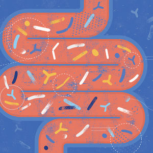 Gut microbiome illustration