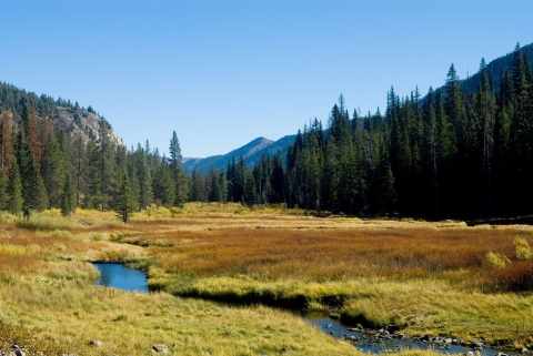 A stream flows through a mountain valley with tress and mountains in the background