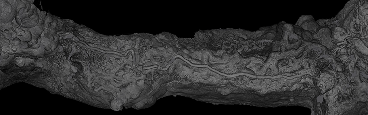 Une grotte en 3D selectionnée au concours « la preuve par l'image 2021 »