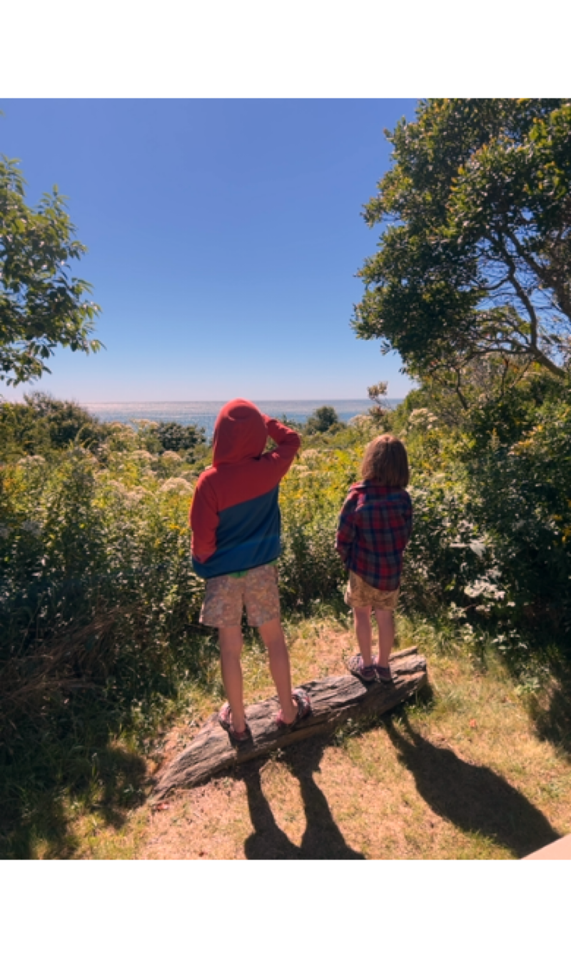 Two kids in shorts and sweaters standing on a lumpy rock looking out over some Rosa Rugosa at the sea.