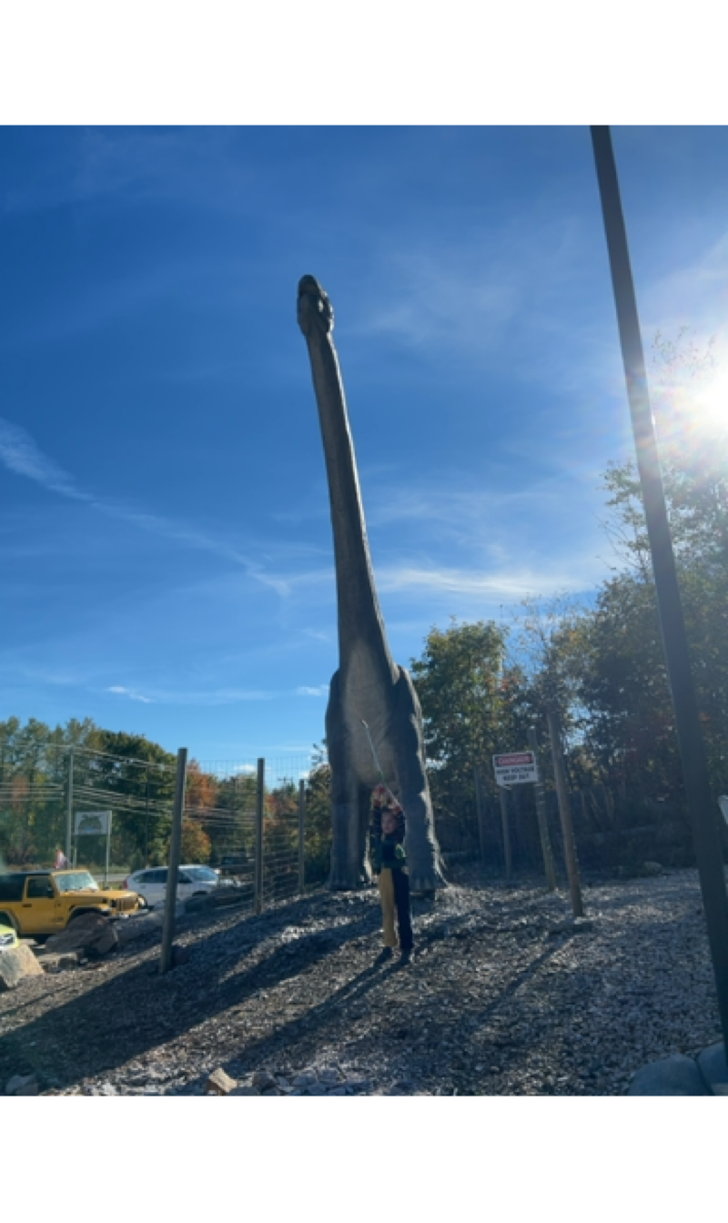 A blurry photograph of a child in colorful overalls holding a mini golf club high over their head standing in front of a “life size” brachiosaurus.