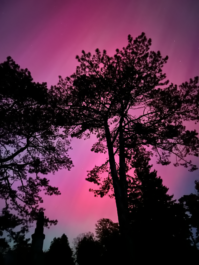 A photograph of silhouetted trees in front of the northern lights. A large gravestone is barely visible in one corner of the image. 