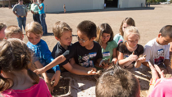 group of students planting