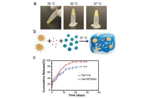 A three-part scientific figure depicting a thermosensitive hydrogel-nanoparticle drug delivery system for aging skin treatment.