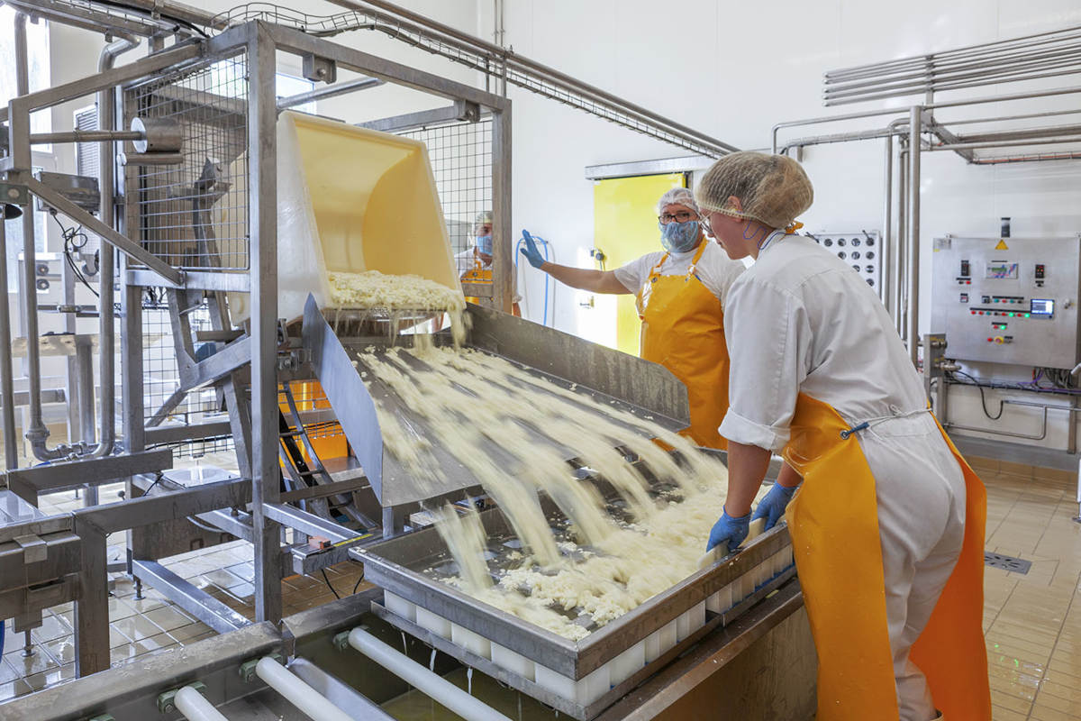 BTS BIOQUALIM en apprentissage option produits laitiers, fromager