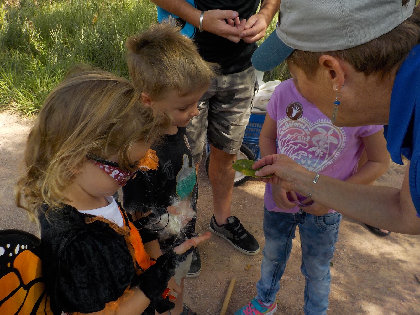 Staff shows children a milkweed leaf