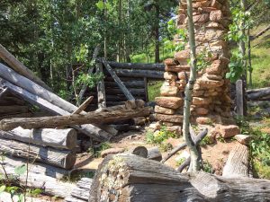 Cabin remains in Jones Park