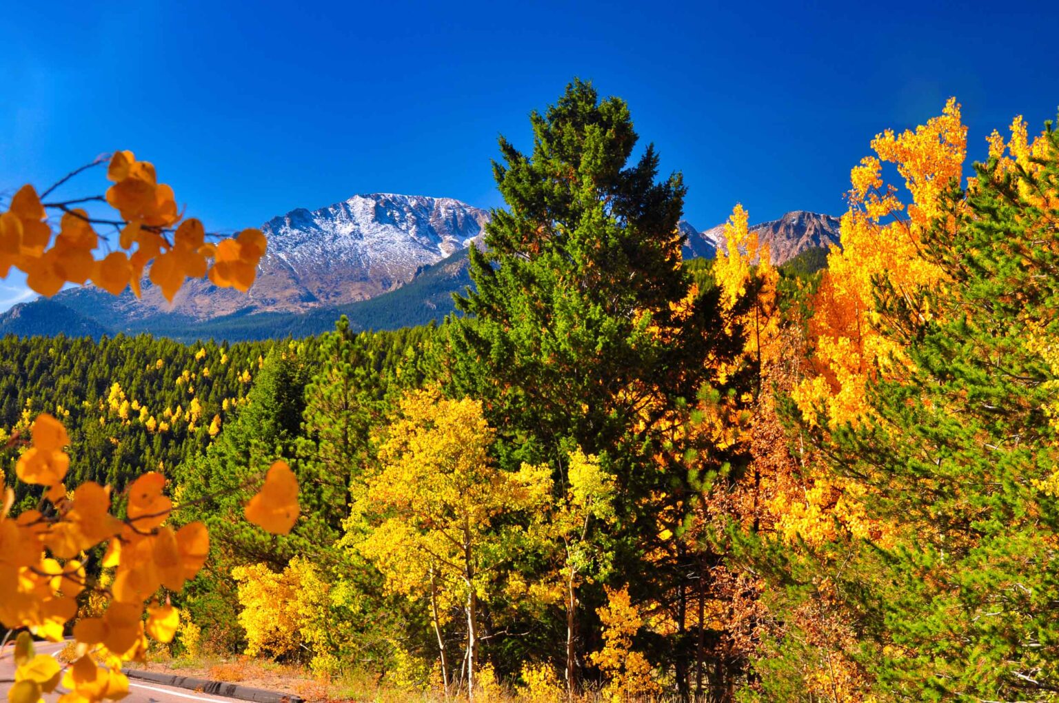 Scenic fall photograph of trees changing colors, Pikes Peak is in the background