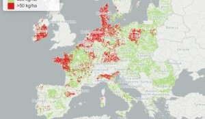 Nitrogen Surplus Map