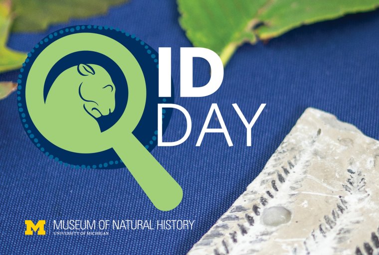 "ID Day" logo with photo of leaves and botanical trace fossil