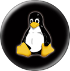 Linux VPS Hosting