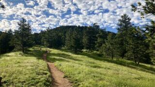 tenderfoot in boulder