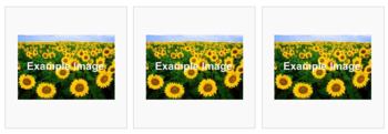 A row of three pictures of a field of sunflowers, with the text 'Example Image' superimposed on each one.