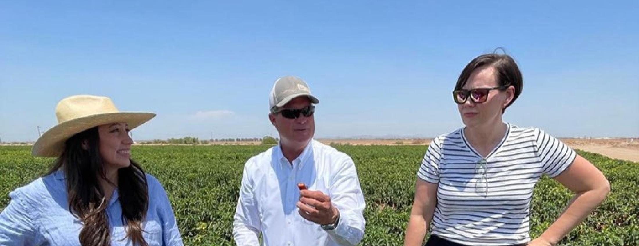 Arizona FSA State Executive Director Ginger Torres (left) listens as Knorr Farm Owner Rob Knorr (center) explains how jalapeño peppers get their “heat”.