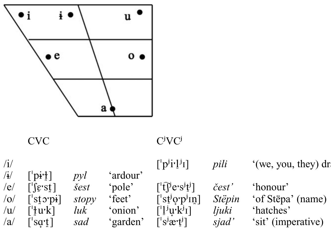 Russian has six vowels, /i # e a 0 u/ (the quality varies substantially depending on w  above chart is based on Bondarko 1998). Vowel hether the vowel occurs in stressed or in unstressed  syllables: in unstressed syllables, all vowels are subject to reduction. Furthermore, the  realisation of the vowels varies as a functio after or before and particularly between  n of consonantal context: vowels are more fronted palatalised consonants than when surrounded by  non-palatalised consonants. Thus, for example, the /a/ vowel gets progressively more front  in CVC), CVC, and C'VC contexts rela  ive to CVC context. When adjacent to only one  palatalised consonant (CVC! or C'VC), it is a diphthongoid because it accommodates both to  the velarisation and to the palatalisation o brosat’, [bra'sa"t'] ‘to throw’, vprisjadku [ ‘sit down!’.  the adjacent consonants, e.g. sad ['sa't] ‘garden’, fpr't's"a'tku] ‘in squatting position’, sjad’ ['s'e't']   Clusters of three or more underlying consonants are often simplified, e.g. pozdno ['p’o'zna] ‘late’, peterburgskij [p'tt'tr'bursk'ti] ‘of St Petersburg’. Consonants and consonant clusters before /o/ and /u/ are labialised, e.g. stud ['s*t”u't] ‘chair’. 