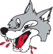 Sudbury Wolves