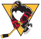 Wilkes-Barre/Scranton Penguins