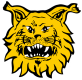 Ilves U20