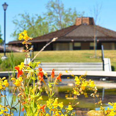 flowers with hut in background